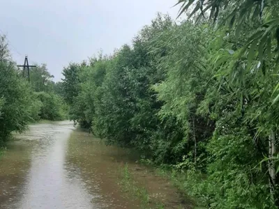 Старица реки Китой. На... - Биликтуй - Ландшафты и сообщества - Плантариум