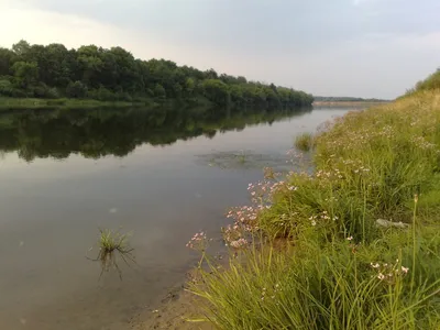 Водный сплав по реке Клязьма от города Орехово-Зуево до города Владимир  (184 км) | Tripmir