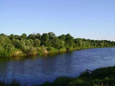 Река Клязьма перед городом | Орехово-Зуево (Орехово-Зуевский городской  округ) | Фотопланета
