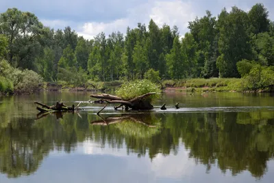 Уровень воды в реке Клязьма, Россия - Социальная сеть о рыбалке.