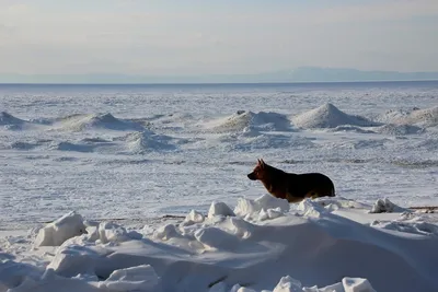 Сплав по реке Колыма - Kolyma-outdoors