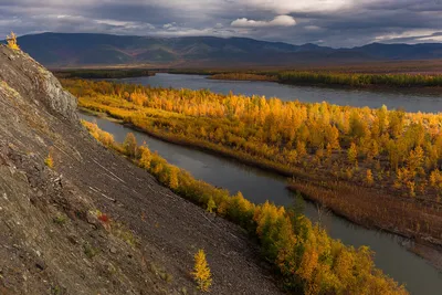 Вскрытие реки Колыма возле Зырянки ожидается 19-23 мая - Информационный  портал Yk24/Як24