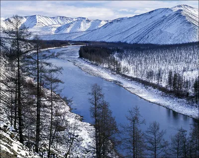 Река Колыма: где находится, бассейн реки, природа, описание