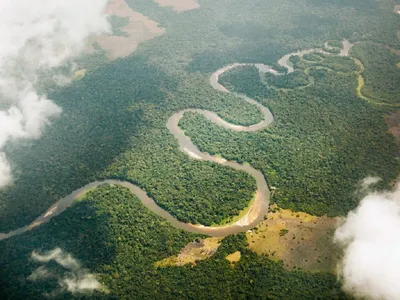 Река Конго - Конго - Fishing Planet Wiki