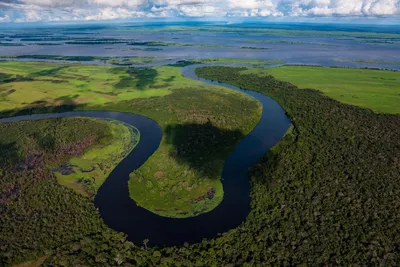 Река Конго: факты о самой глубокой реке в мире | Интересные факты | Дзен