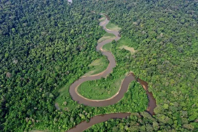 Река Конго — информация, фото, видео, карта