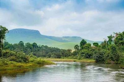 Биотоп «Пороги реки Конго» обустройство аквариума