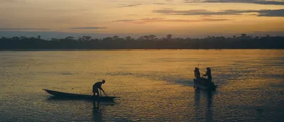 Река Конго - 75 фото