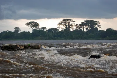 Река Конго - глубина, карта где находится, бассейн реки, притоки, страны  где протекает
