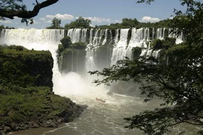 Интересные факты о реке Конго
