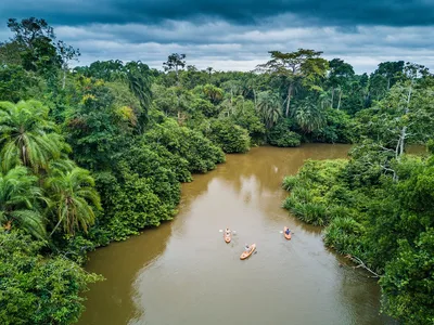 Река Конго (39 фото) - 39 фото