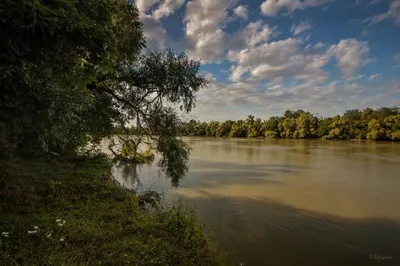 Набережная реки Кубань в Краснодаре