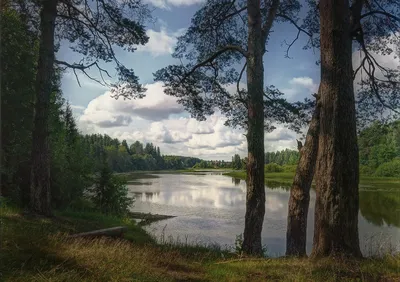 Река Кубань – как отдыхать и где рыбачить на Кубани | Давай на Кубань | Дзен