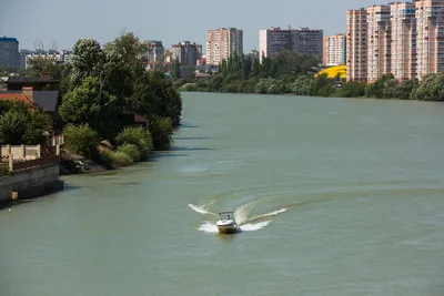 Кубань: великая река Северного Кавказа» — создано в Шедевруме