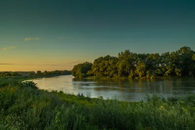 Река Кубань | Исток и устье реки Кубань на карте | Притоки реки | Реки  Костромскоой области