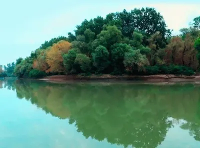 Почему нельзя купаться в реке Кубань и можно ли её спасти?