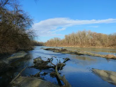 Столичный эколог прокомментировал обмеление реки Кубань в Краснодаре и  Адыгее – Коммерсантъ Краснодар
