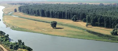 Река Кубань, высокая вода,... - Берег Кубани в Усть-Лабинске - Landscapes  and habitats - Plantarium