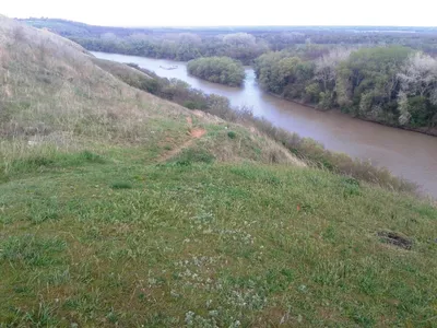 В Ставропольском крае выясняют причины сильного загрязнения реки Кубань –  Коммерсантъ Краснодар