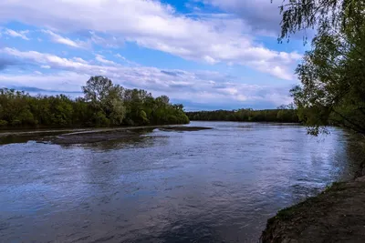 В реку Кубань снова слили канализационные стоки ⋆ НИА \"Экология\" ⋆