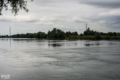 В Краснодаре на Затоне пересохла река Кубань: фото и видео