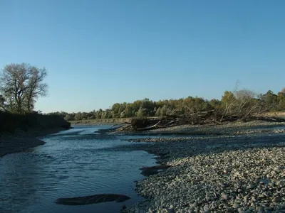Всегда рядом с нами река Кубань – такая быстрая и красивая. А что мы ещё о  ней знаем? | 10.07.2022 | Гулькевичи - БезФормата