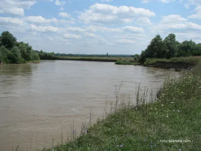 В Черкесске «Водоканал» сливал в реку Кубань сточные воды. Ущерб составил  1,7 млн рублей