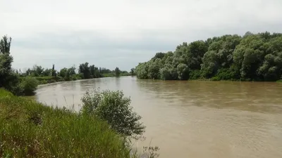 Льются канализационные стоки, всюду вонь и мусор: в Краснодаре рекордно  обмелела река Кубань