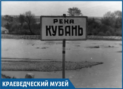 Река Кубань, степной пейзаж» — создано в Шедевруме