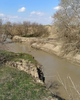 Кума (река, впадает в Каспийское море) — Википедия