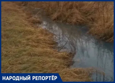 Пробы воды в реке Кума проверят на Ставрополье | Своё ТВ