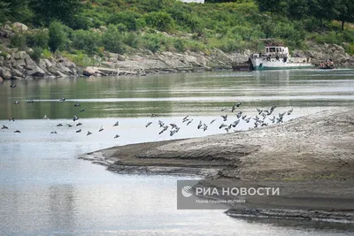 В пункте Сурра реки Кура отмечено повышение уровня воды на 6 см - АЗЕРТАДЖ