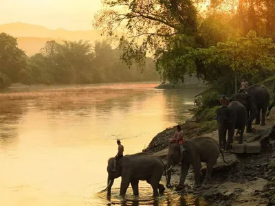 Экскурсия по реке Квай для бывалых в Паттайе - цена 6000 ฿