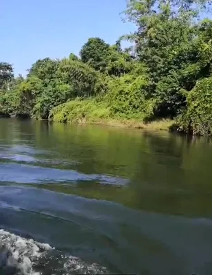 Река Квай (River Kwai) - экскурсия из Паттайи | Цены, описание