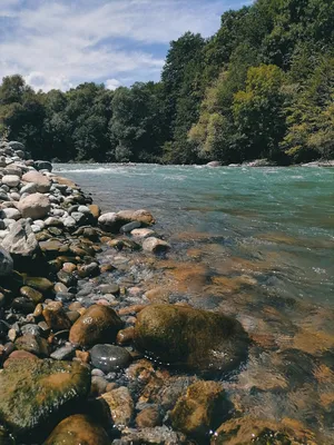 Вода России» - Лаба