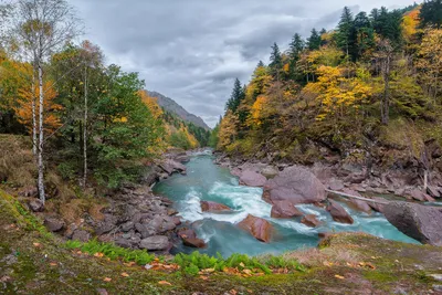 Река Лаба | Река Лаба, Краснодарский край #river #Russia | denis kostin |  Flickr