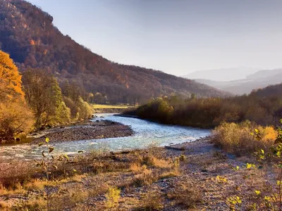 Река Малая Лаба. / Краснодарский край