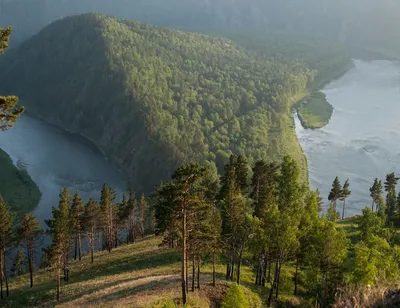 Река Мана (Красноярский край): фото и отзывы — НГС.ТУРИЗМ