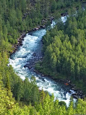 Россия, Красноярский край, река Мана - «Как же она красива... Причем в  любое время года... Мое \"место силы\"» | отзывы