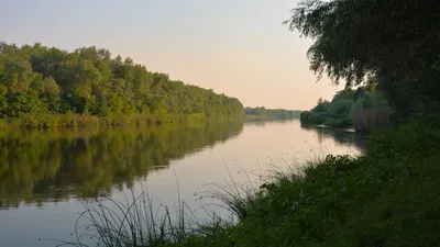 Река Медведица, Лысогорский район Саратовская область | Пикабу