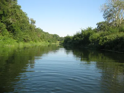 Река Медведица (фото о рыбалке №51267)
