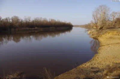 Река Медведица, Лысые горы в Саратовской области - YouTube
