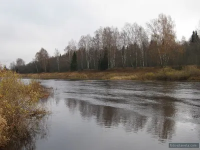 В Волгоградской области начали расчищать реку Медведица | Телеканал  “Волгоград 1”