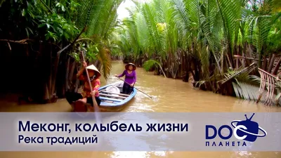 Меконг: душа реки | Вьетнам | Discovery - YouTube