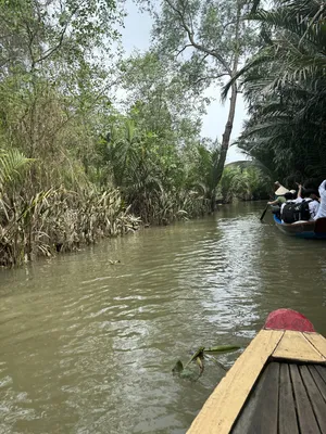 река Меконг длина фото