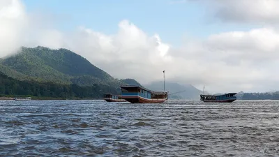 Настоящий Вьетнам в дельте реки Меконг 🧭 цена экскурсии €180, 16 отзывов,  расписание экскурсий в Хошимине