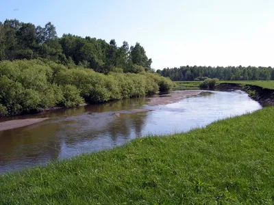 Намутили воду: почему застопорилась очистка реки Миасс в центре Челябинска  - KP.RU
