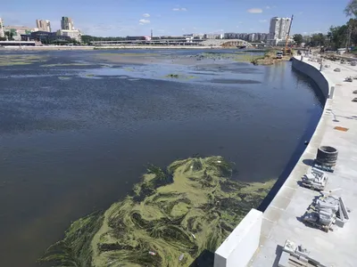 С 16 июня начнут чистить реку Миасс в центре Челябинска │ Челябинск сегодня