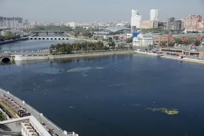 К масштабной очистке реки Миасс приступят в Челябинске в 2024 году │  Челябинск сегодня