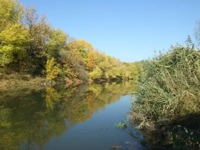 Вода России» - Миус